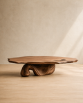 Sculptural Coffee Table